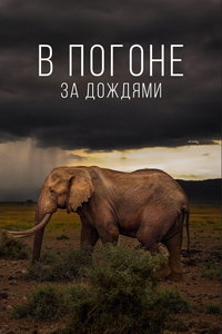 В погоне за дождями (сериал)