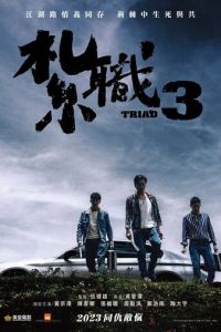 Триада 3 (фильм 2024) смотреть