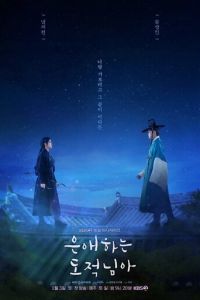 Моя любимая воровка (сериал) смотреть