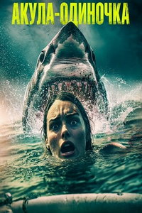 Акула-одиночка (фильм 2025) смотреть