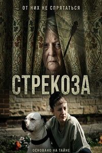 Стрекоза (фильм 2025) смотреть