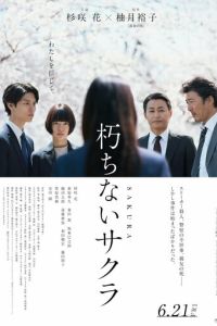 смотреть Вечная сакура (фильм 2024) онлайн