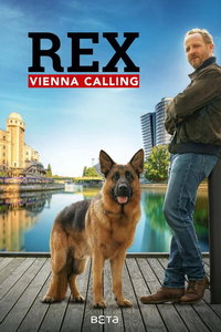 Комиссар Рэкс: Перезапуск (сериал) смотреть