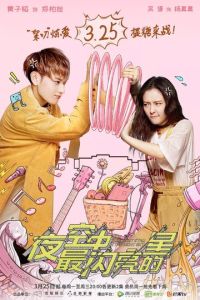 Самая яркая звезда на ночном небе (сериал)