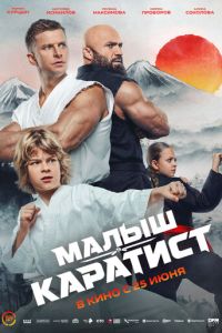 смотреть Малыш-каратист (фильм 2026) онлайн
