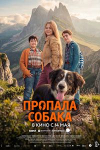 смотреть Пропала собака (фильм 2025) онлайн