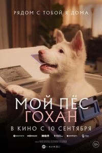 Мой пёс Гохан (фильм 2026) смотреть