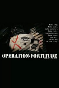 Операция «Fortitude» (фильм 2026) смотреть
