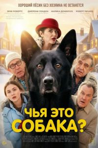 Чья это собака? (фильм 2025) смотреть