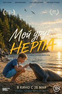 Мой друг нерпа (фильм 2026) смотреть