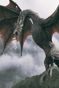 Про драконов